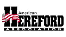 American Hereford